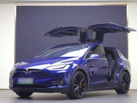 特斯拉 Model X 2020款 长续航升级版
