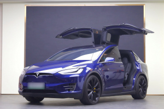 特斯拉 Model X 2020款 长续航升级版