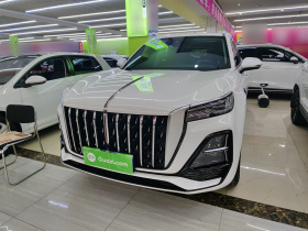 红旗HS5 2023款 2.0T 旗享Pro版