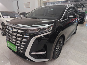 腾势D9 2024款 DM-i 1050 尊享型