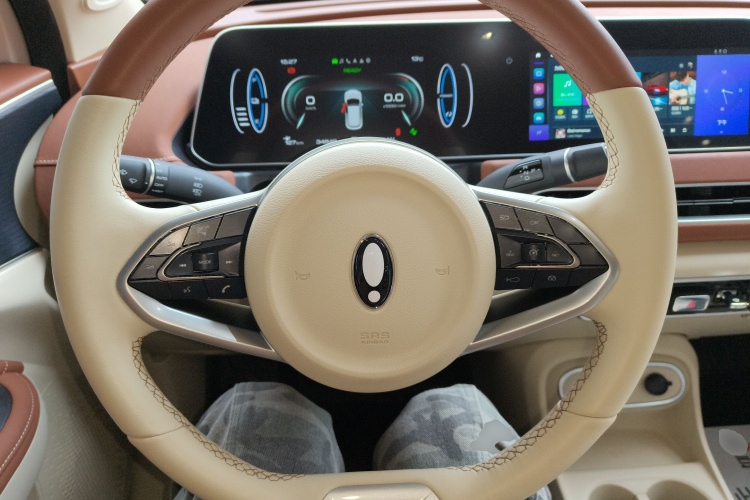 欧拉好猫 2023款 401km标准续航 豪华型 磷酸铁锂局部细节13