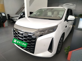 比亚迪 夏 2025款 DM-i 1.5T 180km 超越型