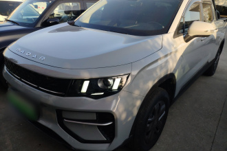 雷达汽车 雷达金刚 2025款 430km 两驱长箱 招财金刚