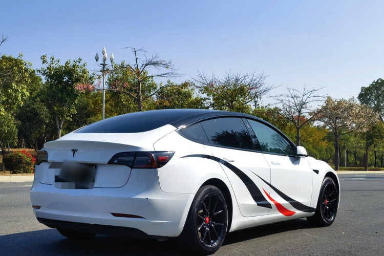 特斯拉 Model 3 2019款 标准续航后驱升级版车身外观6005