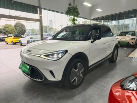 smart精灵#1 2022款 Pro+版