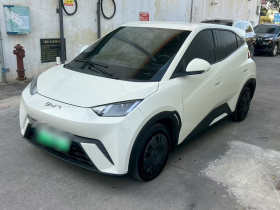 比亚迪 海鸥 2025款 305km 活力版