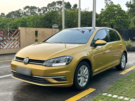 大众 高尔夫 2018款 230TSI 自动舒适型