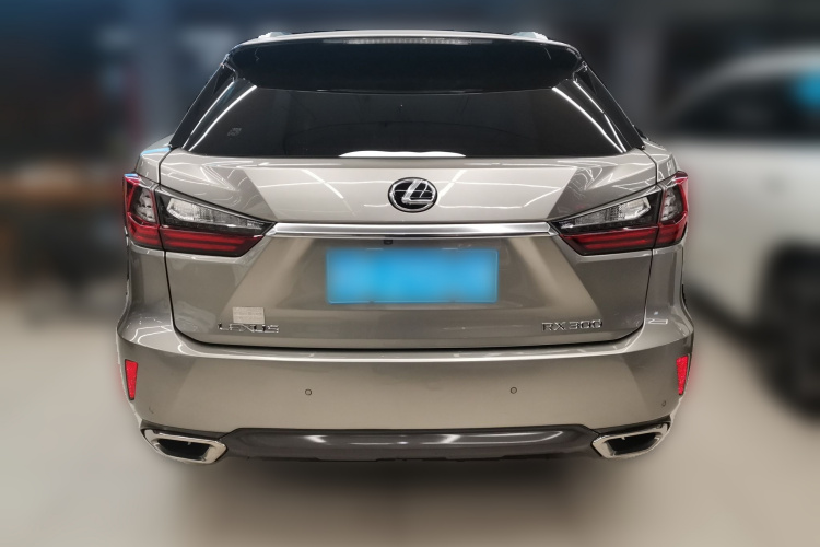 雷克萨斯RX 2016款 300 四驱典雅版 国VI车身外观6