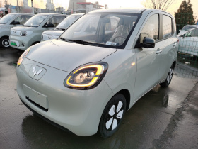 五菱汽车 宏光MINIEV 2025款 四门版 进阶款