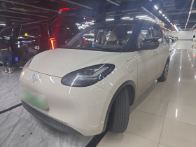 五菱汽车 五菱缤果 2024款 333km 灵犀互联款