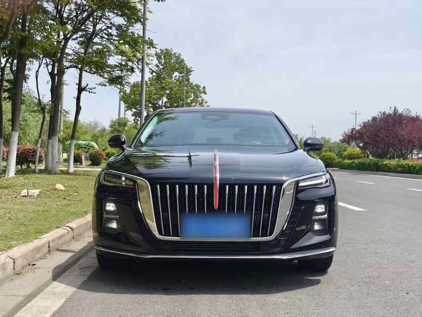 红旗H5 2024款 2.0T 自动智联旗畅版(3)
