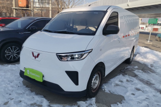 五菱汽车 五菱扬光 2024款 300km 实用型封窗版 60kW