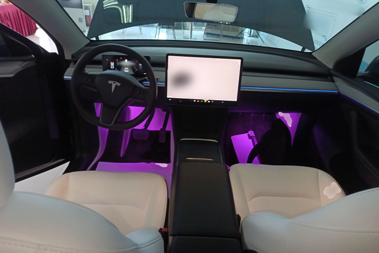 特斯拉 Model Y 2024款 长续航全轮驱动版中控内饰12