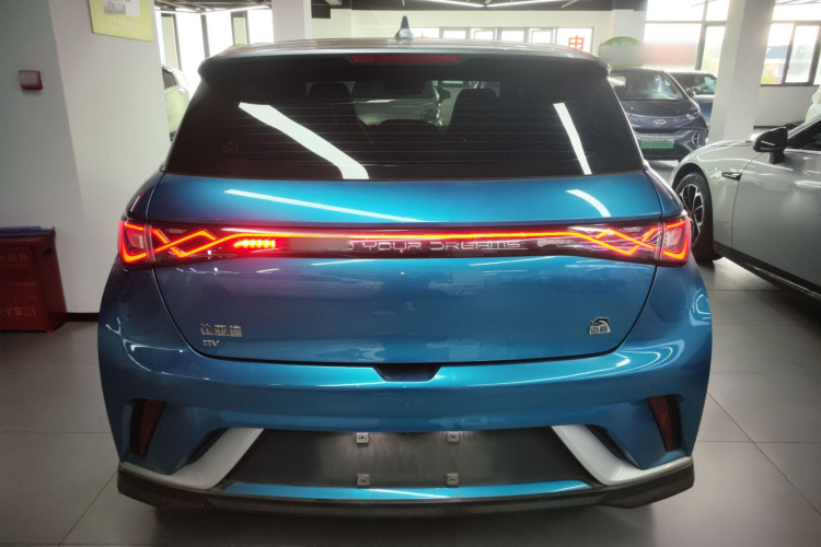 比亚迪 海豚 2021款 401km 骑士版车身外观6