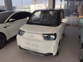 安徽猎豹 猎豹CS01 EV 2024款 实用型