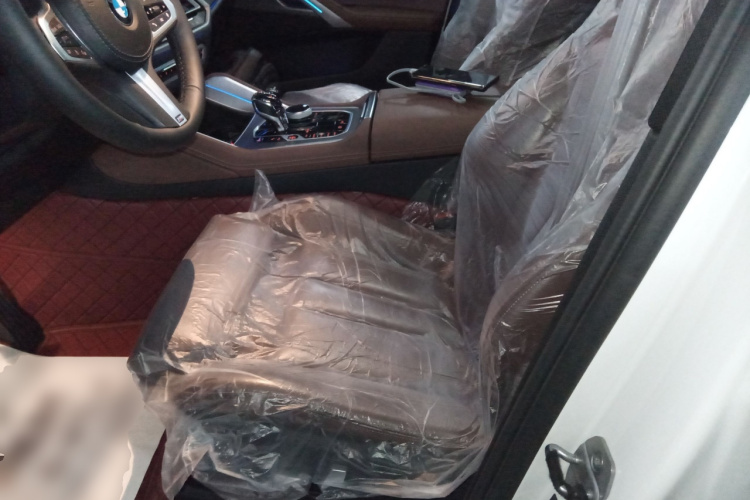 宝马X6 2021款 xDrive30i M运动套装中控内饰19