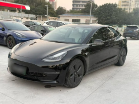 特斯拉 Model 3 2020款 改款 长续航后轮驱动版