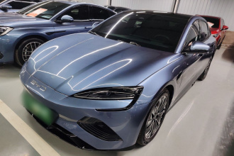 比亚迪 海豹 2023款 冠军版 550km 精英型