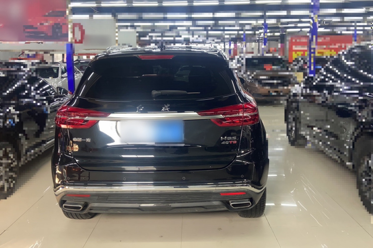 红旗HS5 2022款 改款 2.0T 智联旗享版车身外观6005