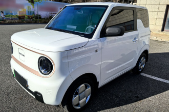 吉利银河 2024款 熊猫mini 200km 耐力熊