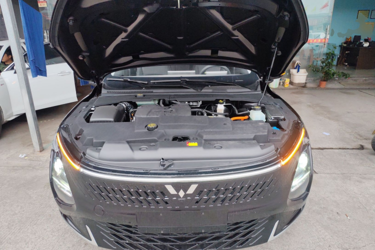 五菱汽车 五菱星光 2025款 70km 智能标准型机舱底盘24