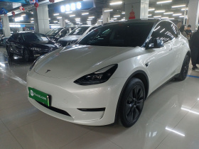 特斯拉 Model Y 2024款 后轮驱动版
