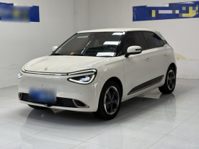 东风纳米 纳米01 2024款 430 Max