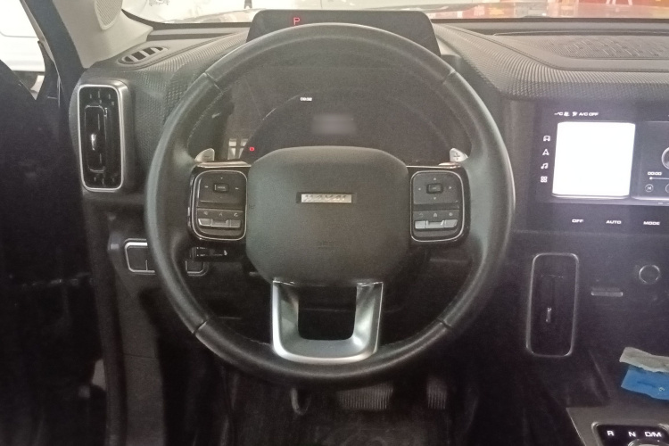 哈弗大狗 2021款 1.5T DCT两驱拉布拉多版中控内饰13