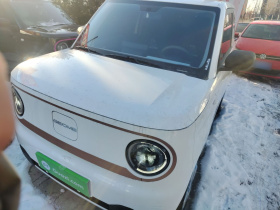 吉利银河 熊猫 2025款 210km 元气熊