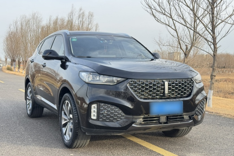 魏牌 VV6 2020款 2.0T 两驱智享+车身外观6008