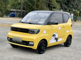 五菱汽车 宏光MINIEV 2022款 马卡龙臻享款 三元锂