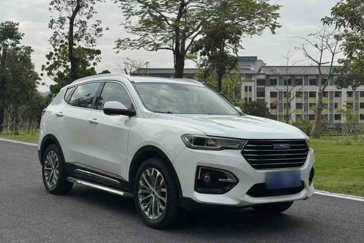 哈弗H6 2019款 蓝标 2.0GDIT 自动豪华智联版车身外观6004