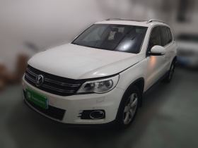 大众 途观 2010款 1.8TSI 自动四驱菁英版