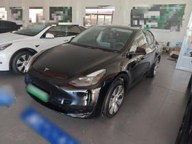 特斯拉 Model Y 2022款 后轮驱动版