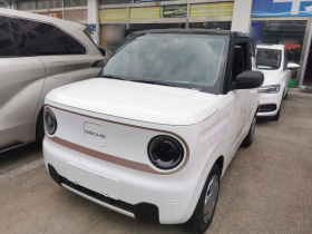 吉利银河 2024款 熊猫mini 200km 耐力熊