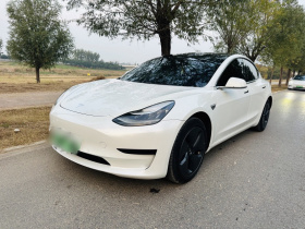 特斯拉 Model 3 2019款 标准续航后驱升级版