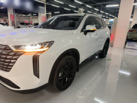 哈弗H6 2024款 1.5T 两驱Max