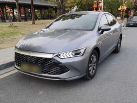 比亚迪 秦PLUS 2023款 冠军版 DM-i 55KM领先型