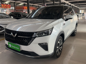 五菱汽车 五菱星辰 2022款 2.0L DHT电速款