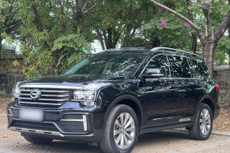 广汽传祺 传祺GS8 2020款 390T 两驱豪华智联版（七座）