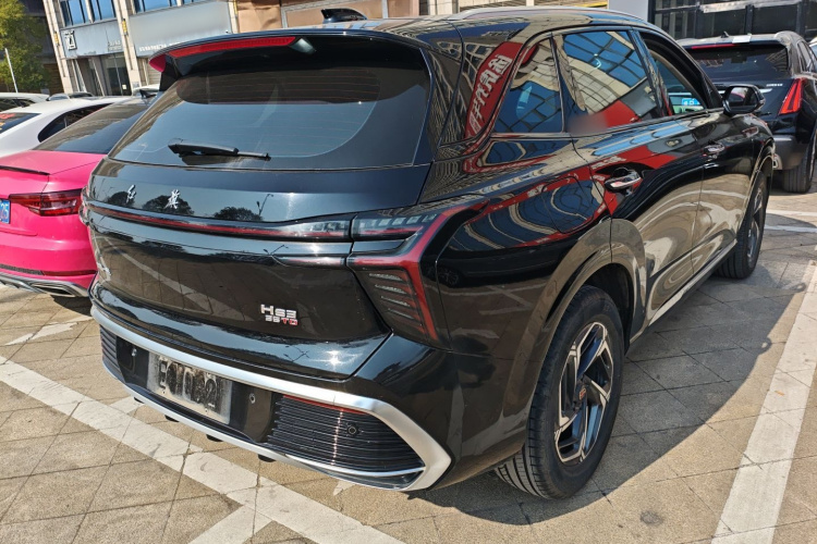 红旗HS3 2023款 1.5T 两驱善为版车身外观7