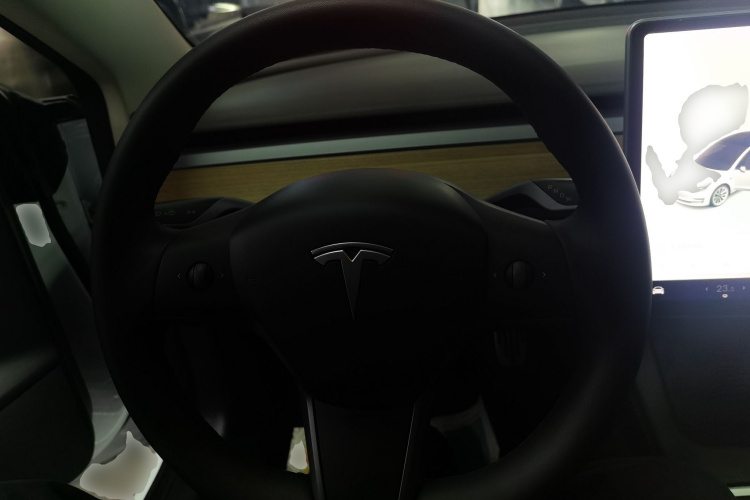 特斯拉 Model 3 2021款 标准续航后驱升级版 3D6局部细节13