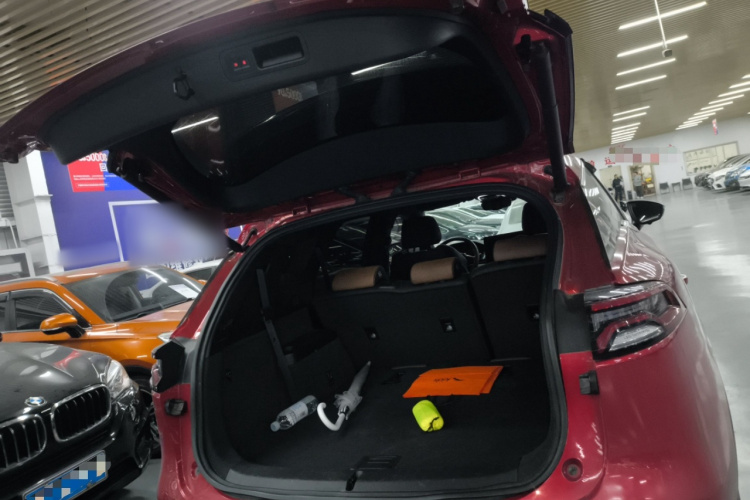 比亚迪 唐新能源 2021款 EV 长续航版尊荣型机舱底盘23