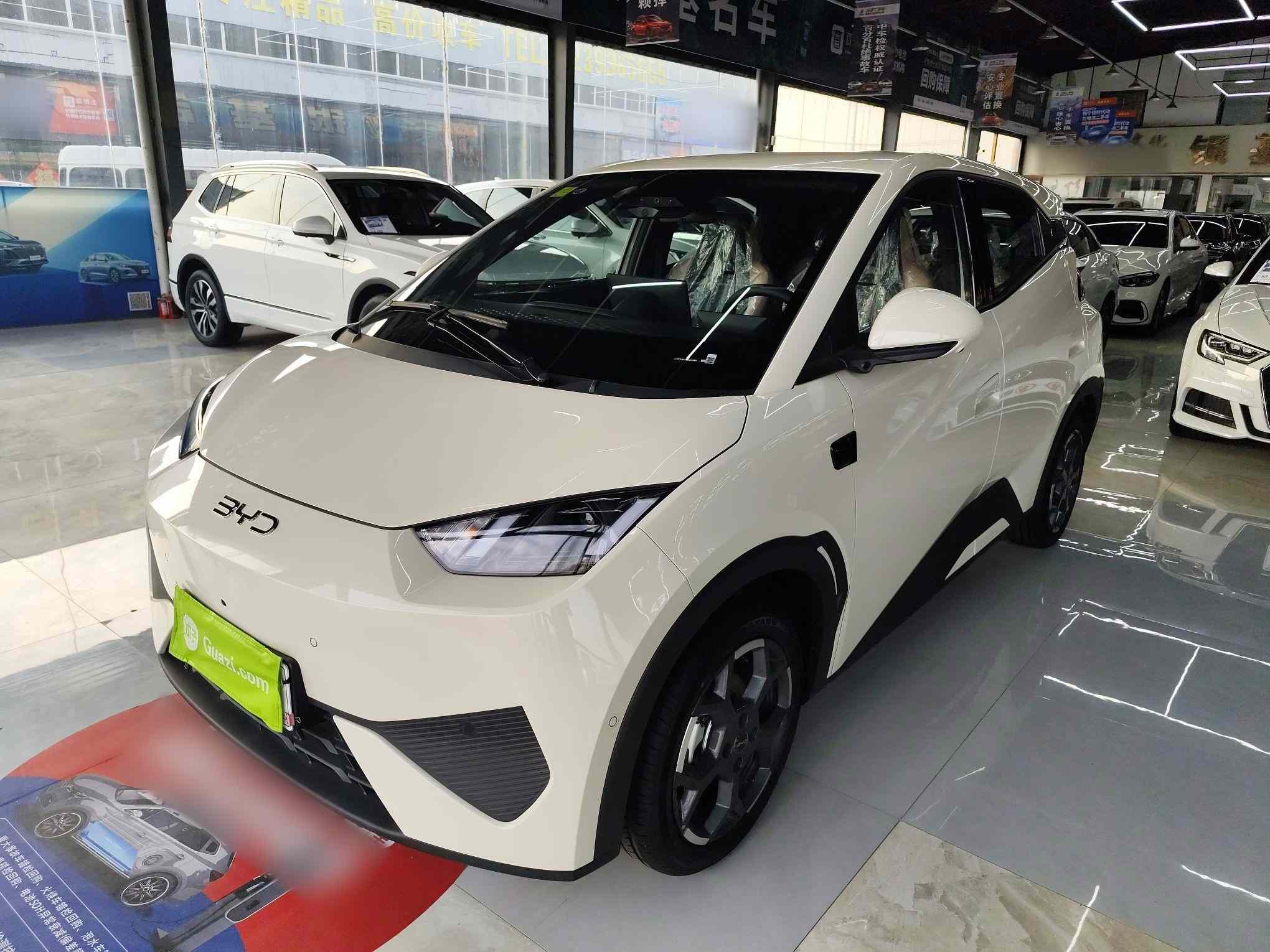 比亚迪 海鸥 2025款 智驾版 305km 自由版(2)