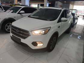 福特 翼虎 2019款 EcoBoost 180 两驱铂翼型 国VI