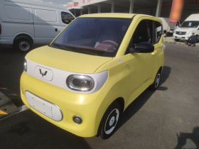 五菱汽车 宏光MINIEV 2024款 第三代 215km 青春版