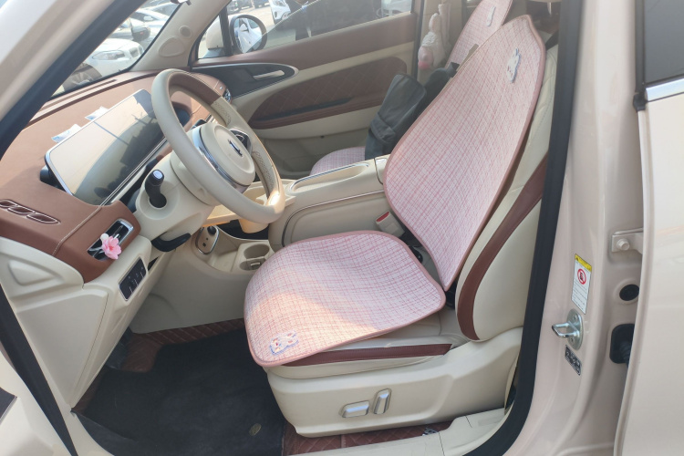 欧拉好猫 2023款 401km标准续航 豪华型 磷酸铁锂中控内饰19