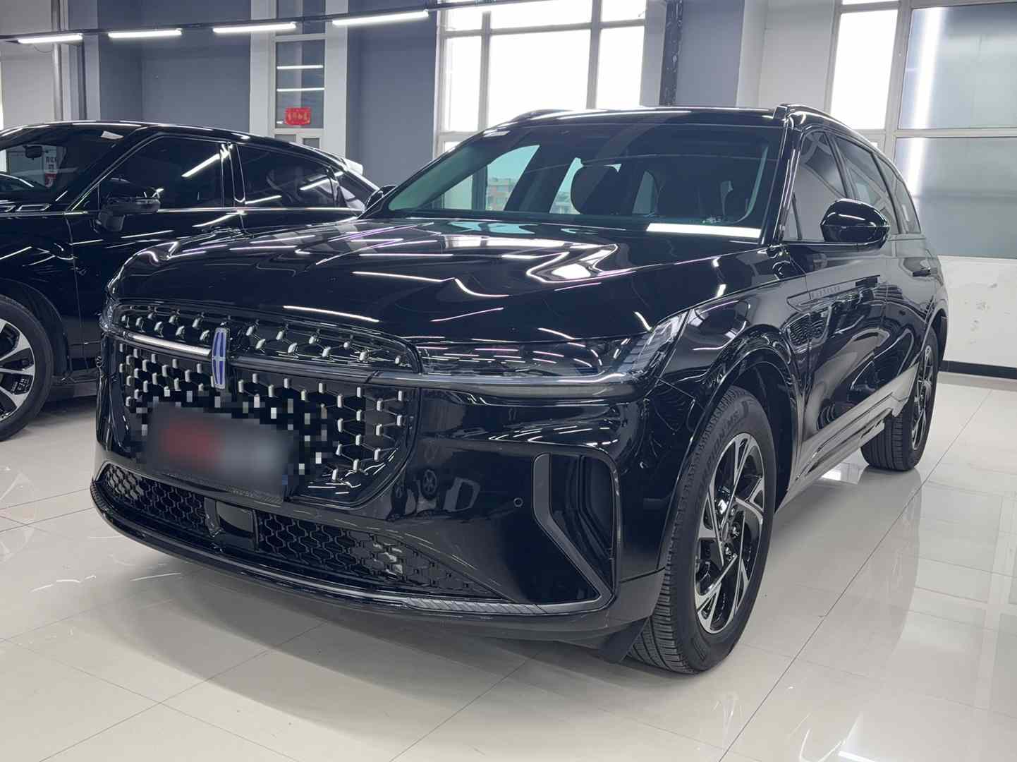 林肯 航海家 2025款 2.0T 四驱尊逸混动版(1)