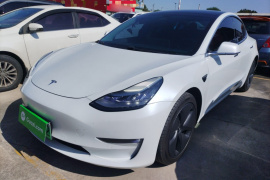 特斯拉 Model 3(进口) 2019款 长续航全轮驱动版