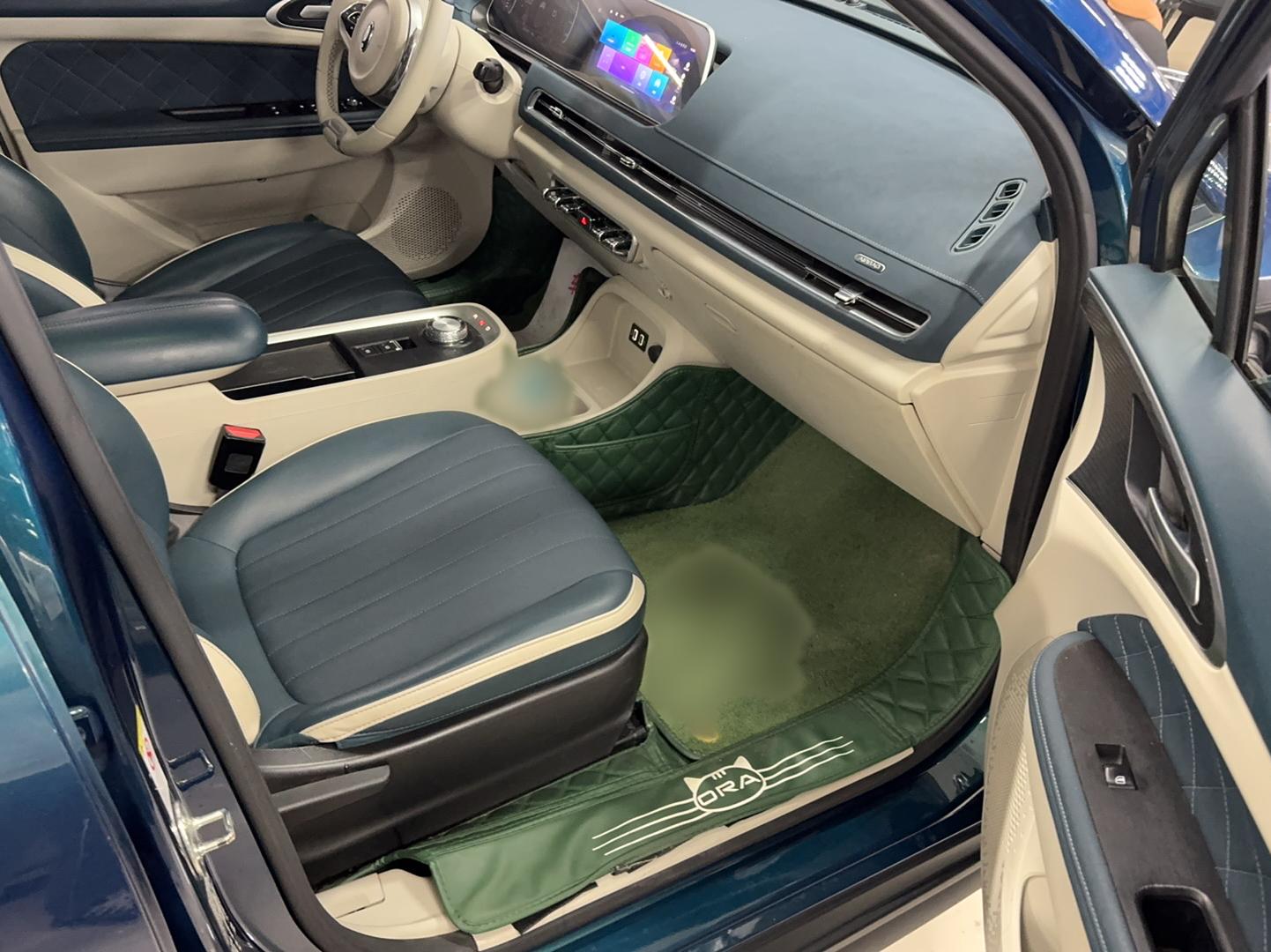 欧拉好猫 2021款 400km标准续航 维纳斯版 三元锂